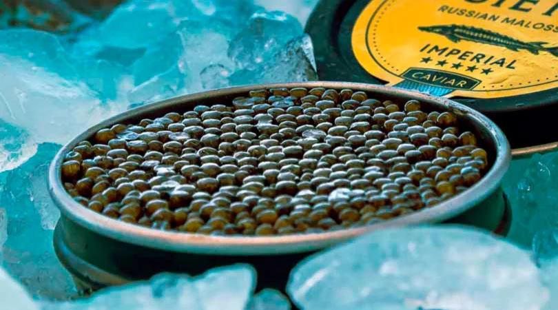 Beneficios del caviar para la salud